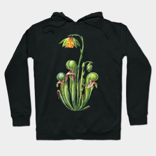 Kopie von Cobra Lily Darlingtonia Californica Apparel Botanical Drawing Pitcher Plant Hoodie